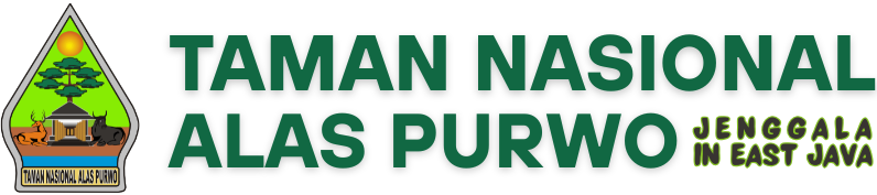 Taman Nasional Alas Purwo