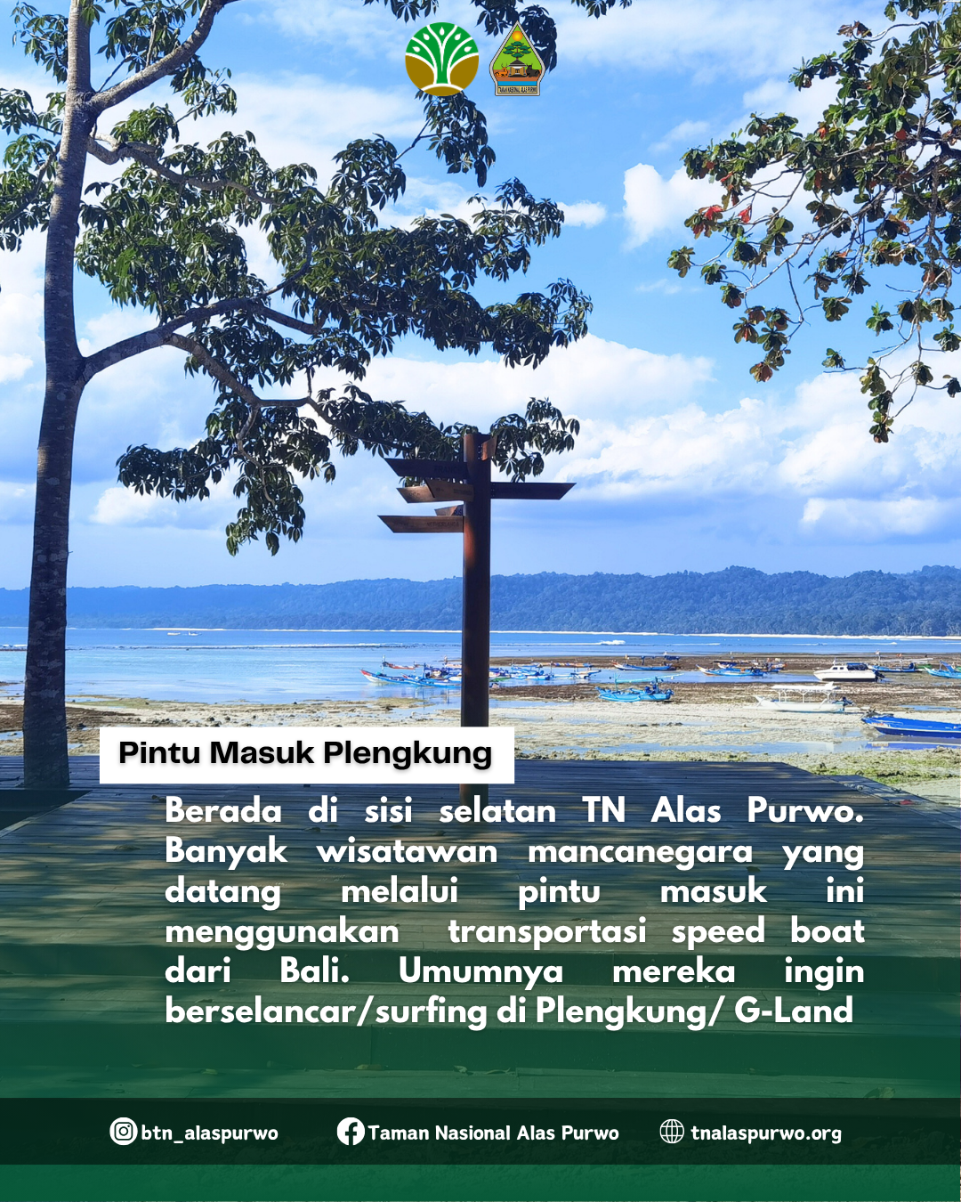 14_PIN IG