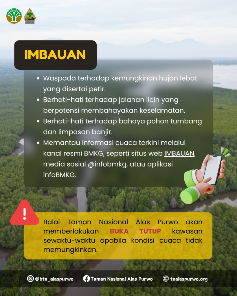 16_PIN IG